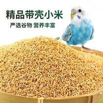 New Huanggu Son Tigre en cuir Peony Xuanfeng Petit et moyen Parrot Petit et moyen Parrot Wenbird avec millet millet et nourriture pour oiseaux 5 kilos