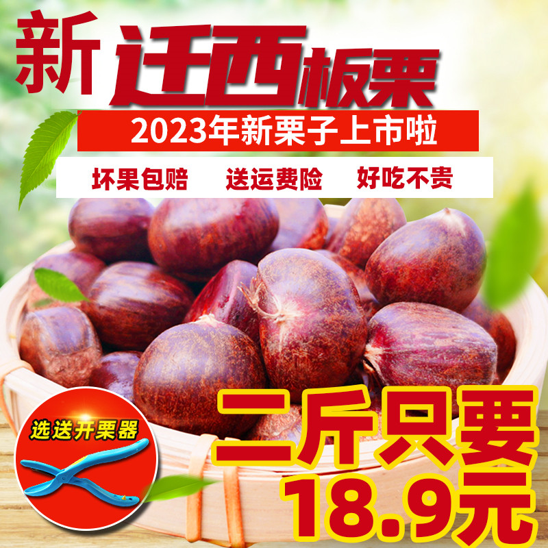 2023 relocated Chinese chestnut raw fresh chestnuts Zhengzong Hebei Tangshan chestnut wild oil chestnut wild oil chestnut fresh plate millet wedding-Taobao