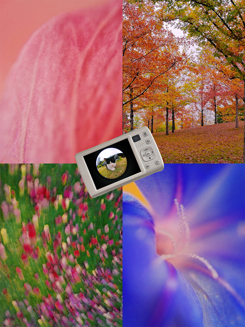 O1CN01g38gNR1RDm9hoslK7_!!2213939312078.jpg