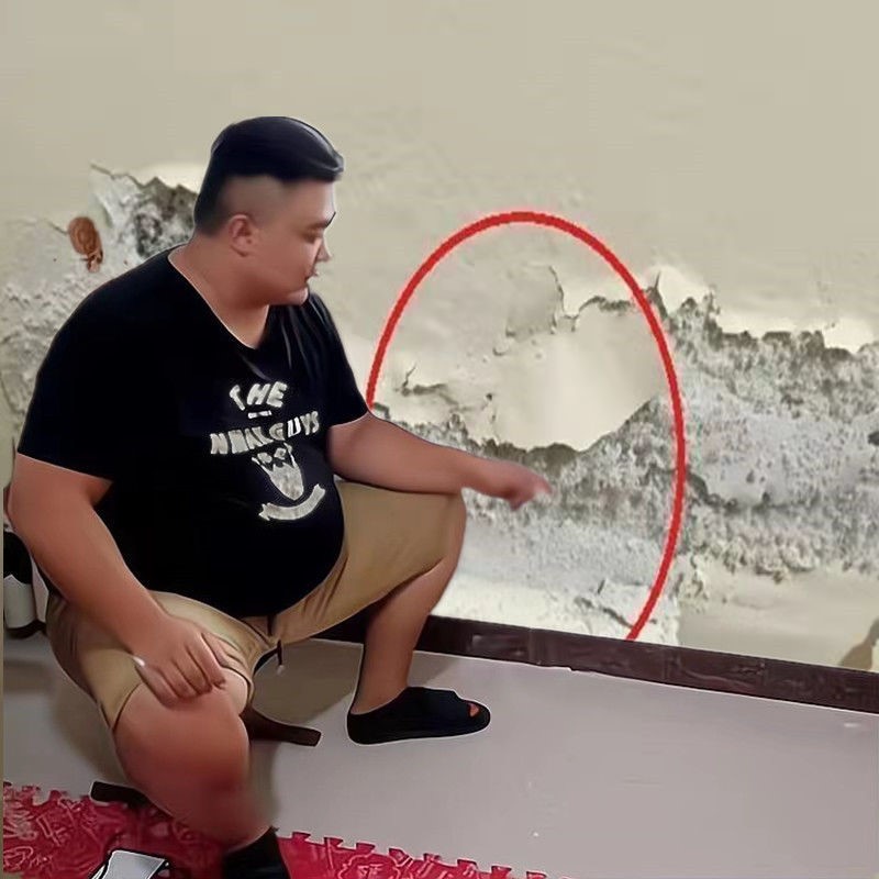 Tonic Wall Cream Domestic Wall Patched White Water Resistant Moisture-proof Batch of Plastering Wall Paste Net Taste Free Brush paint Emulsion Varnish Paint