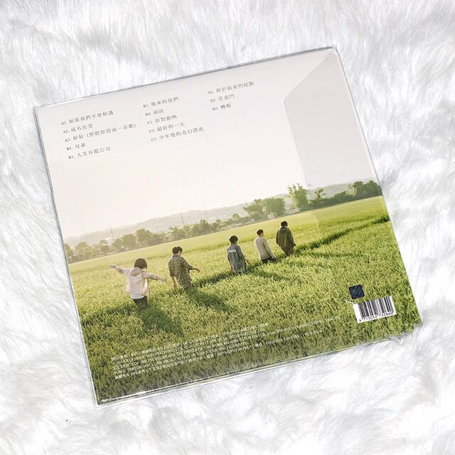 Taiwanese authentic Mayday album autobiography 2LP vinyl record gramophone special turntable 12-inch disc