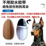 Sherry Special Stand -Up Артефакт PET