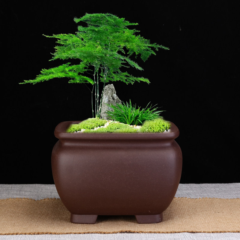 星瑶严选精品