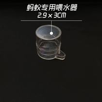 Ant automatic water feeder saves worry and effort