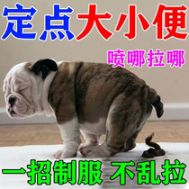 That night the dogs fixed-point defecation inducer artifact goes to the toilet pet toilet trainer dog does not poop pad