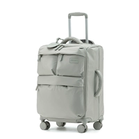 Разнообразие серо-серых световых способностей-SF Express