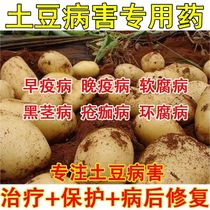 Complete cure for potato diseases complete cure for potato diseases scab disease black shank curl bacterial wilt and ring rot potato special fungicide