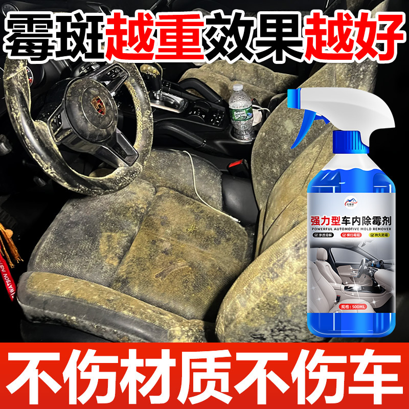 Car Interior Mold Remover, Special Cleaning Spray for Leather Seats and Carpets, Removes Mold Spots and Mildew, No-Rinse