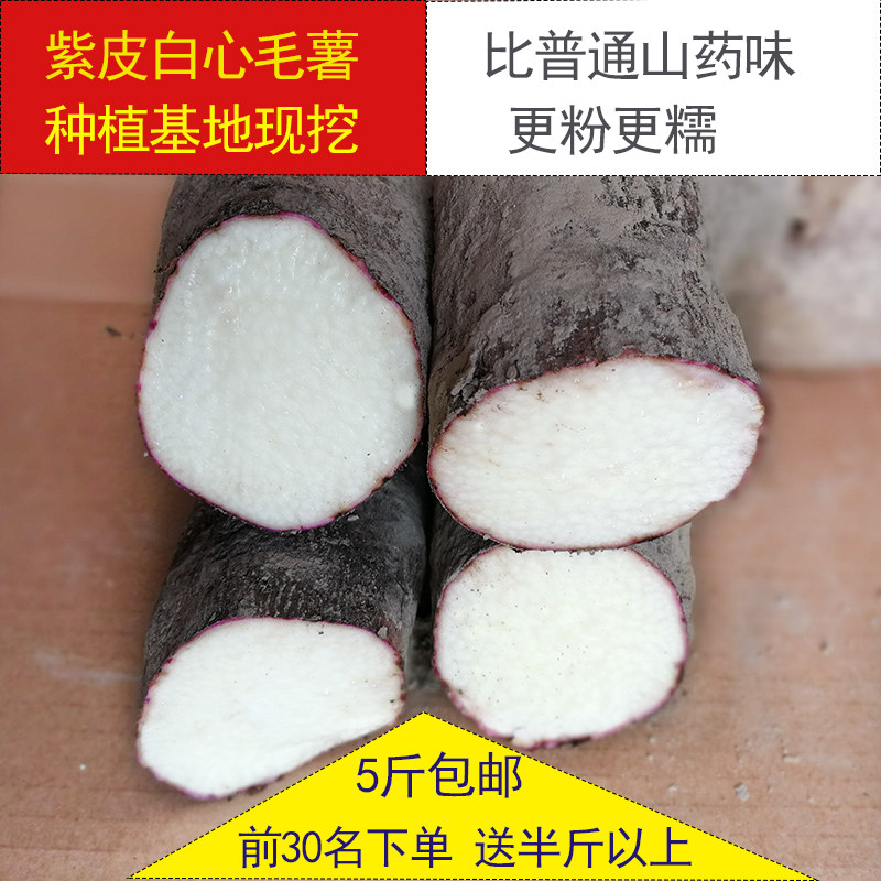 白心薯子现挖新鲜白山药脚板薯炖汤大薯毛薯紫山药紫皮5斤当年-新鲜山药-淘宝百科网
