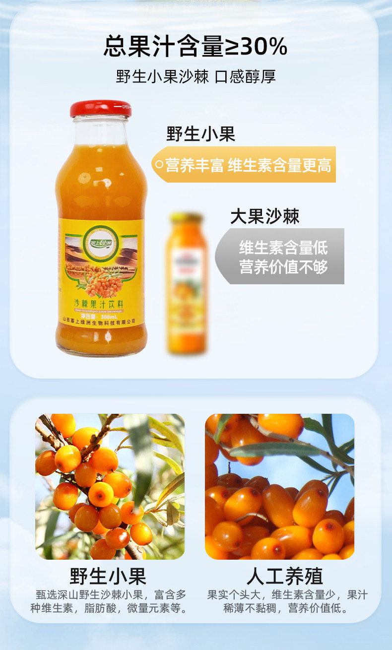 塞上绿洲 沙棘计原浆饮料 300ml*8瓶 图2
