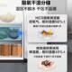 Haier refrigerator double-door side-by-side first-level energy efficiency AIP ultra-clean system frost-free BCD-630WGHSS95S9U1