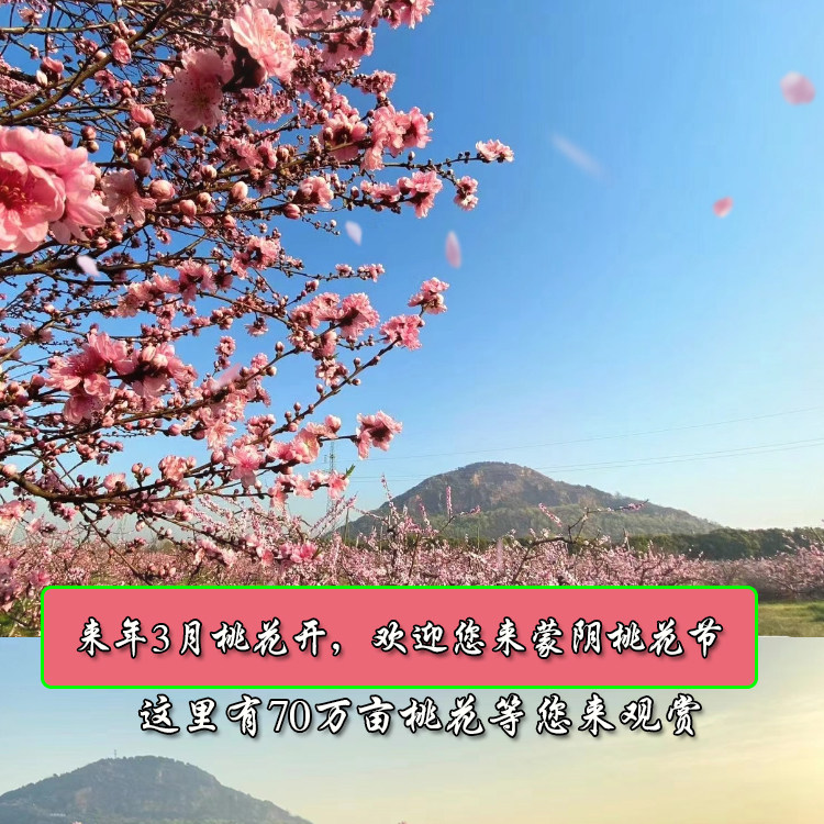 满桃红桃花园的LOGO