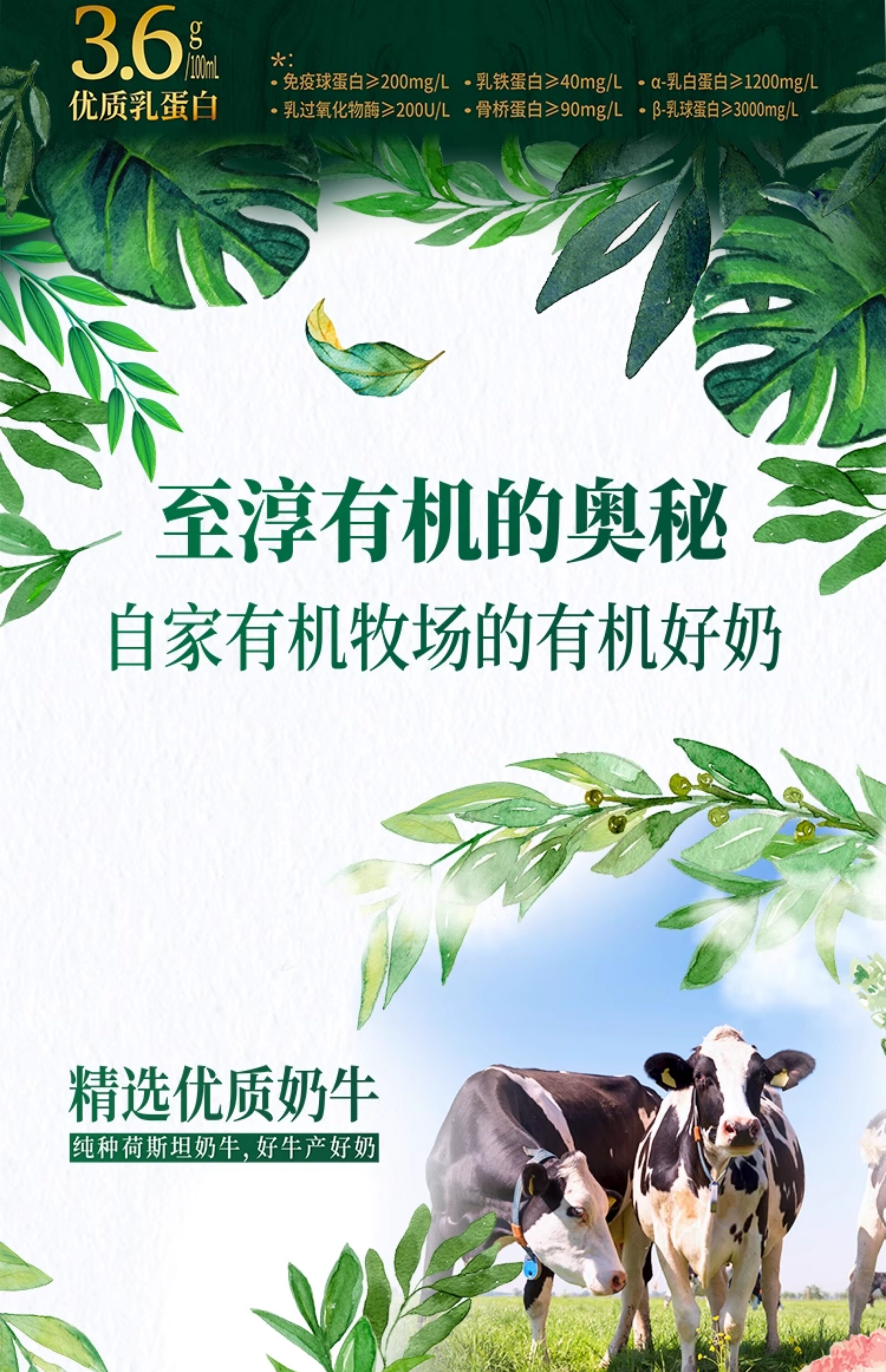 安享好物 安享S级纯奶-卫岗至淳 有机鲜牛奶 国标 