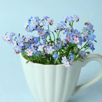 Не забывайте меня 200 капсул+горшки+почва+удобрения