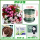 Семена семян цветов Чанчун 100 зерна+удобрение почвы горшки [набор]