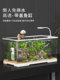 小型鱼缸家用桌面客厅小型电视柜旁超白生态过滤深水乌龟缸养龟箱