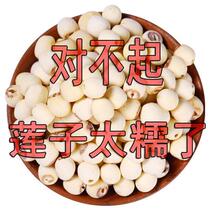 Buy 1 get 1 lotus seeds new goods Xiangtan freshly ground peeled cored powder glutinous easy-to-cook white lotus seeds dry goods gross weight non-net weight