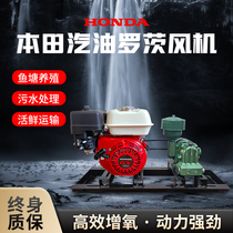 Honda gasoline oxygenation pump diesel blower Zhenglin Roots blower electric seafood transport vigorous pump vehicle-mounted fish pond