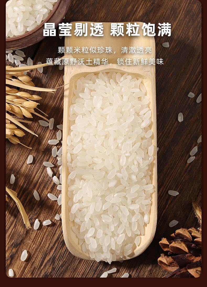 好食期 内蒙古草原贡米长粒香米大米 图4