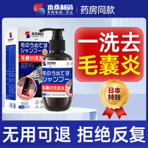 Lipospillous Folliculitis Shampoo Dermatitis Special Effects To Scrum Opticular bacteriostatic special dandruff drug coal tar lotion
