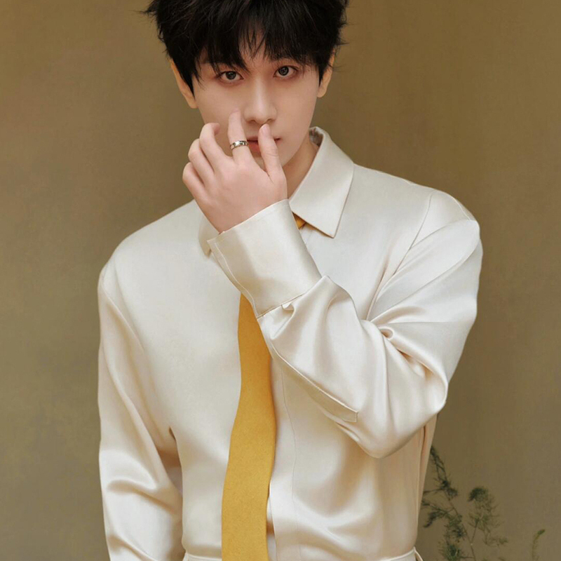 Cheng Yi Celebrity-Style Champagne-Colored Men's Satin Shirt with a Turn-Down Collar, Long Sleeves, High-End Feel, Loose Casual Shirt
