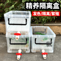 Turtle hair color box multi-functional breeding isolation sedimentation box fry breeding guppy anchovy hatching spawning fish tank