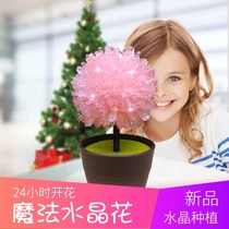 Crystal Planted Growth Science Small experimental suit Children DIY Puzzle Girls Toy Magic Crystal Flower Pendulum