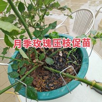 Moon season Pressure Branches of the moon season Pressure Branches Iron Wire Press Branches Hook Fruit Trees Pull Branches God Instrumental Plant Styling Iron Wire Quick