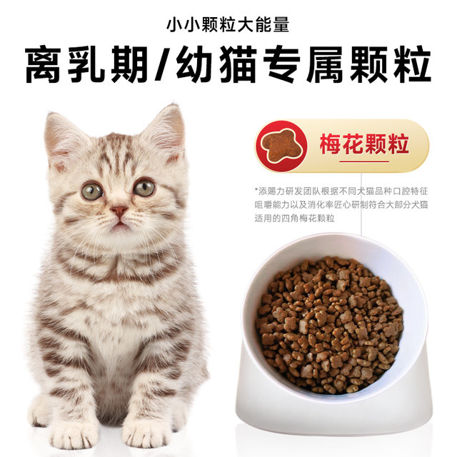 Timzil milk cake cat food kitten cat food blue cat ອາຍຸ 12 ເດືອນ lactoferrin milk cake cat cow colostrum immune food