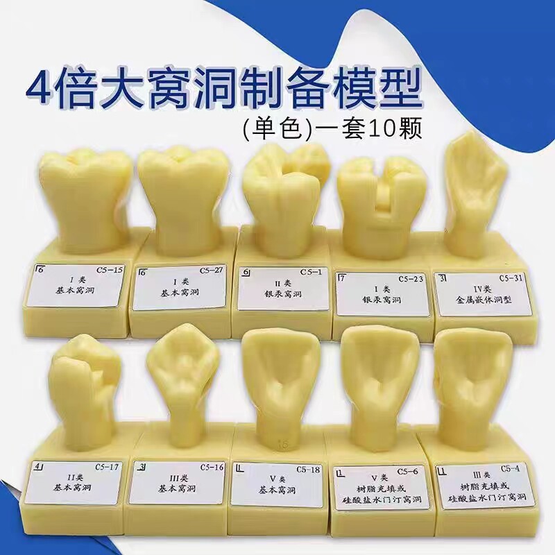 牙科四倍大窝洞制备参照模型 四倍牙齿备牙标准示范嵌体洞型 包邮