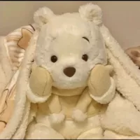 25 см теплый зимний слофный медведь [Spot Speed ​​Hair]