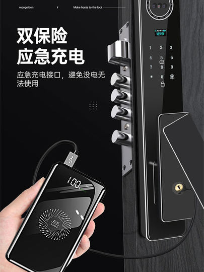 双开门人脸识别防雨防冻防晒密码指纹锁室外别墅大门庭院智能门锁