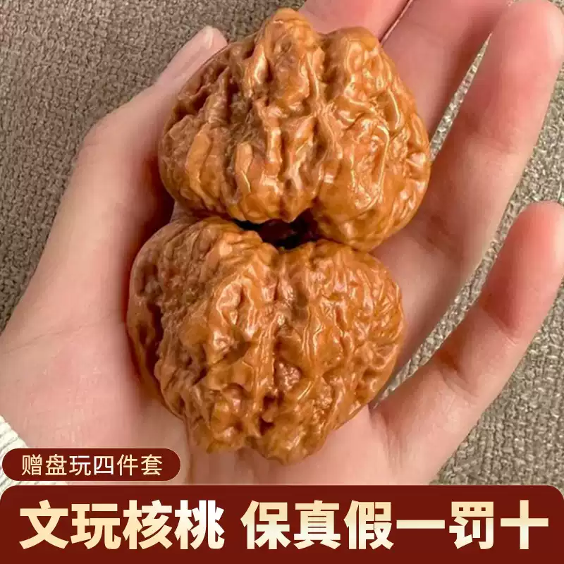 延庆老树蛤蟆头核桃文玩特大闷尖青蛙怀柔金蟾狮子