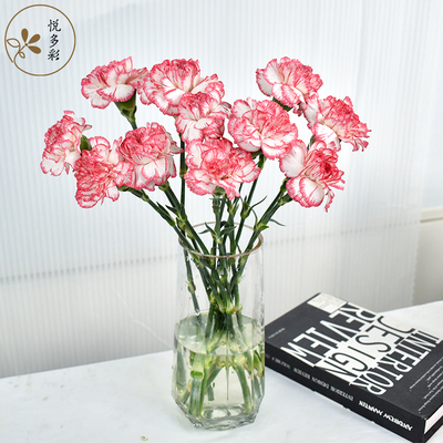 2026年1月23日更新【万能白菜价】的图片 第2张