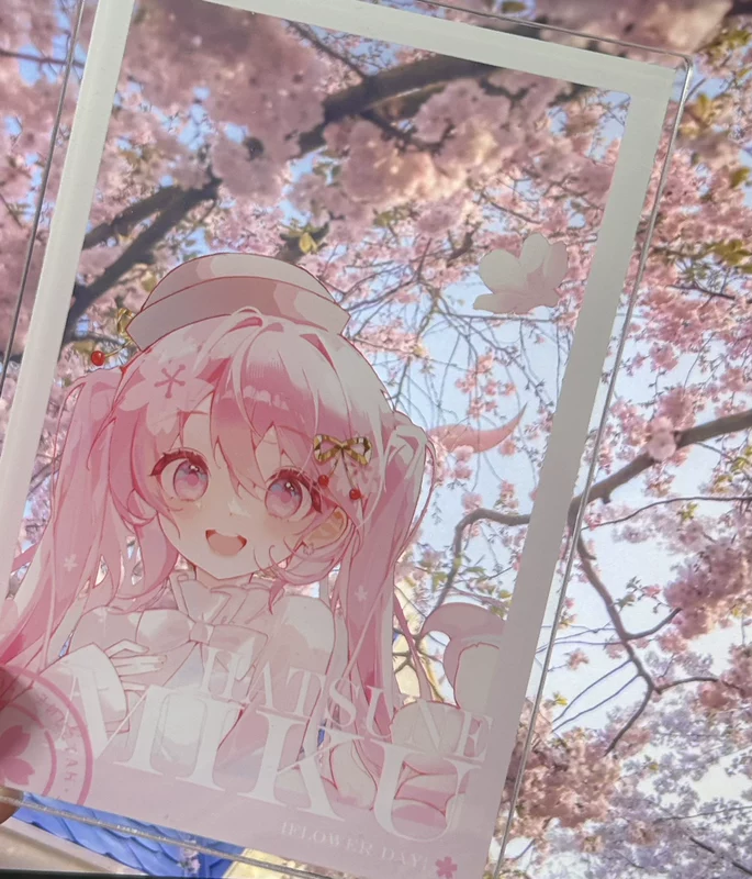 "Pre -sale/drop" [Feng Chuanhua Xin] Hatsune Miku Future Sakura Future Miku is around