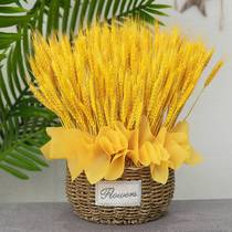 Natural gold ear dry flower bouquet opening barleigh parlor decoration furnishings gift box plug blue basket