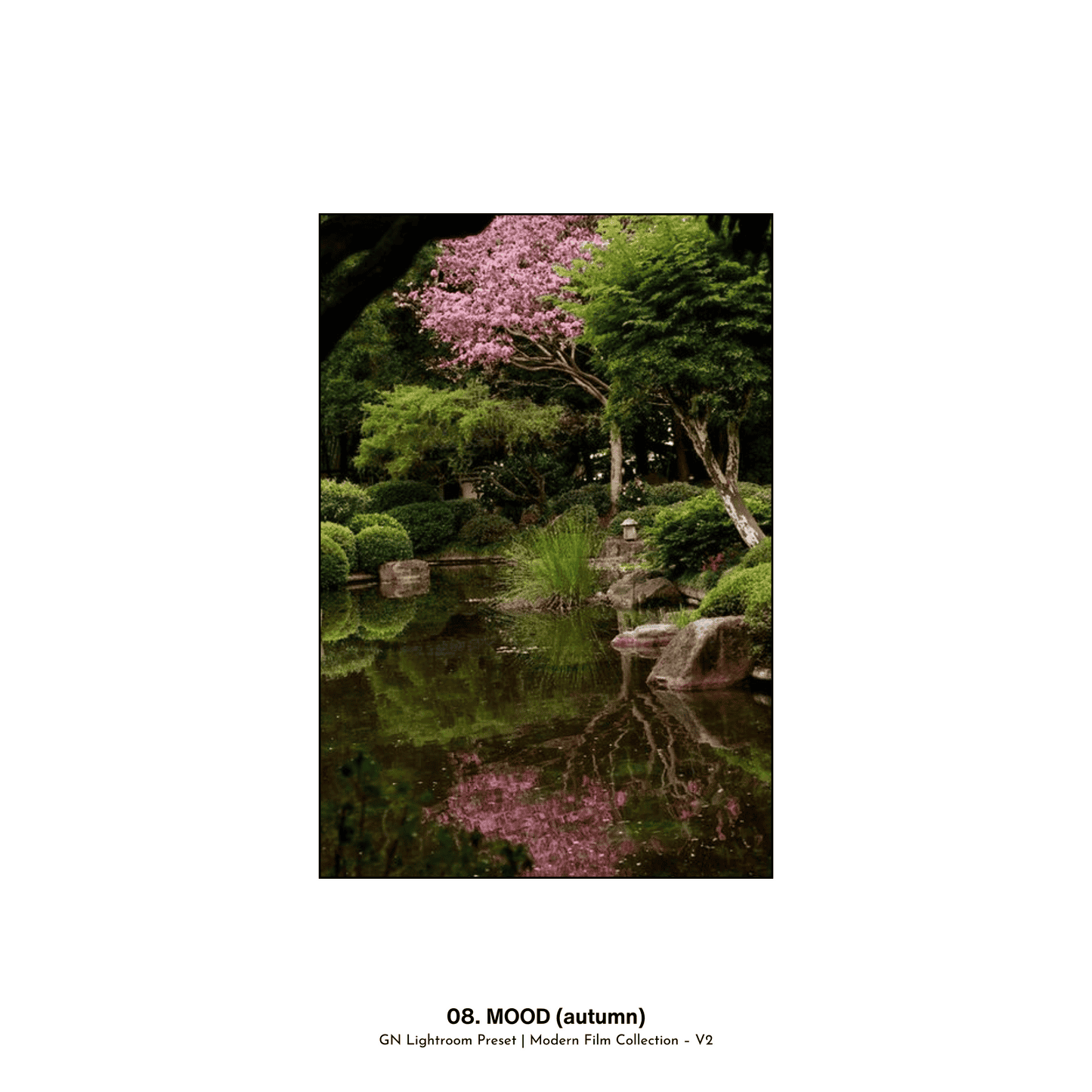 GN胶片电影预设 Modern Film Collection – V2 GN胶片电影预设 Modern Film Collection – V2