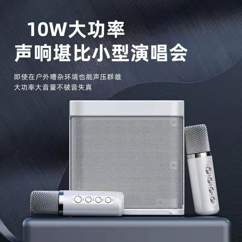 Portable Bluetooth Speaker Ys-203, Dual Wireless Microphones, Handheld Ktv, Mobile Karaoke, Card-Insertable Speaker, Popular Model