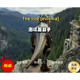 The Isle [Evrima] Assistant Test Server Tools Dinosaur Island/Technology/Tools