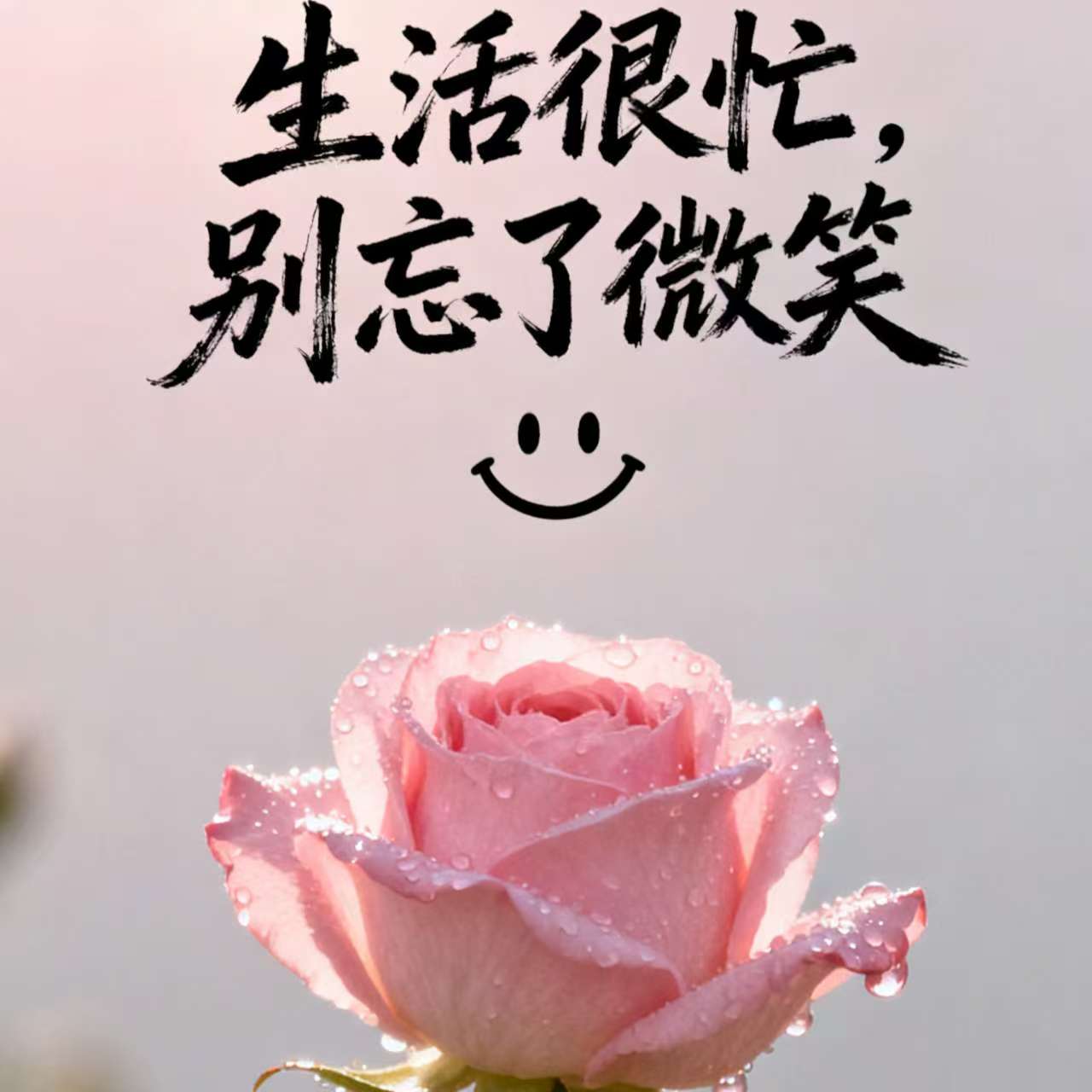 白银三日游：穿越丝路古都的烟火与风沙