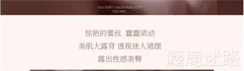 Quần lót nữ bằng thép hỗ trợ ngực nhỏ, ngực nhỏ, áo lót nâng ngực, áo ngực mới có thể điều chỉnh kiểu mèo gợi cảm thuần khiết mong muốn