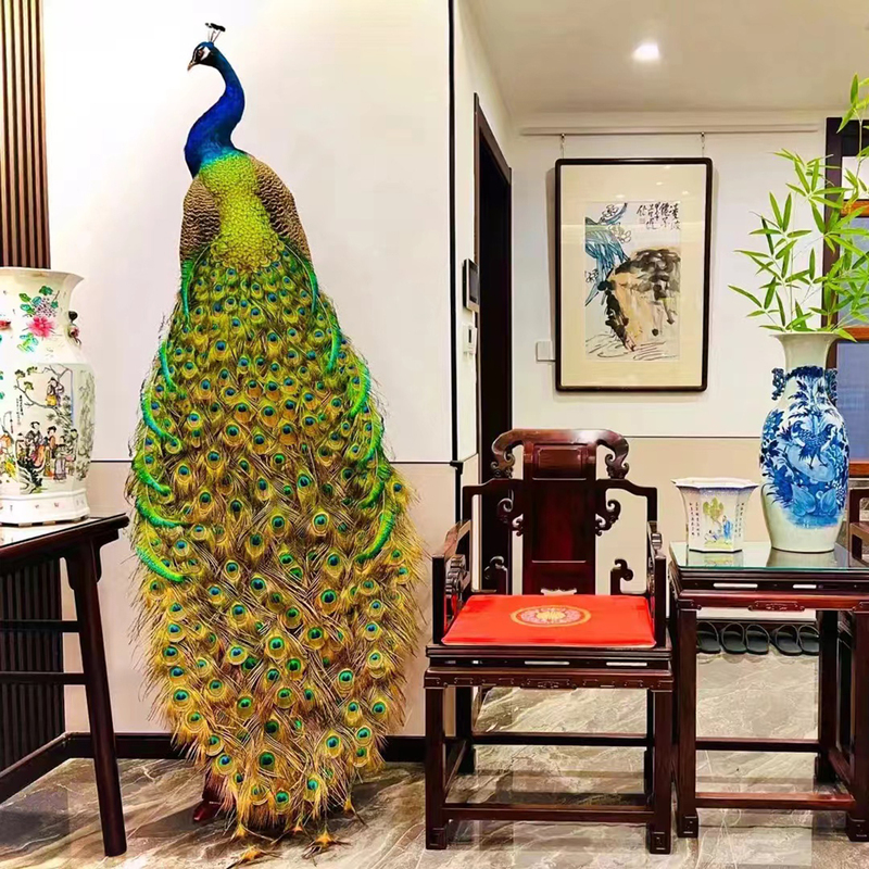 Peacock Specimen Real Feather Floor-Standing Large Ornament for Living Room Hotel Decoration Craft Opening Gift Prop Model
