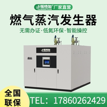 Industrial one ton gas steam generator electroplating chemical commercial 1 ton 2 ton steam generator steam boiler