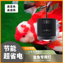 New horse print cylinder lamp holder aqua Thai lion suo pops light led goldfish native fish tank barrel lamp stream light