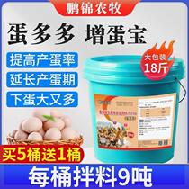 Beast with egg-added egg adobe and plenty of egg-laying hens duck goose-dove quail fowl with egg-producing feed additives