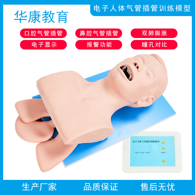 气管插管训练模型医学用成人口鼻气管插管模拟人教学牙齿受压警报