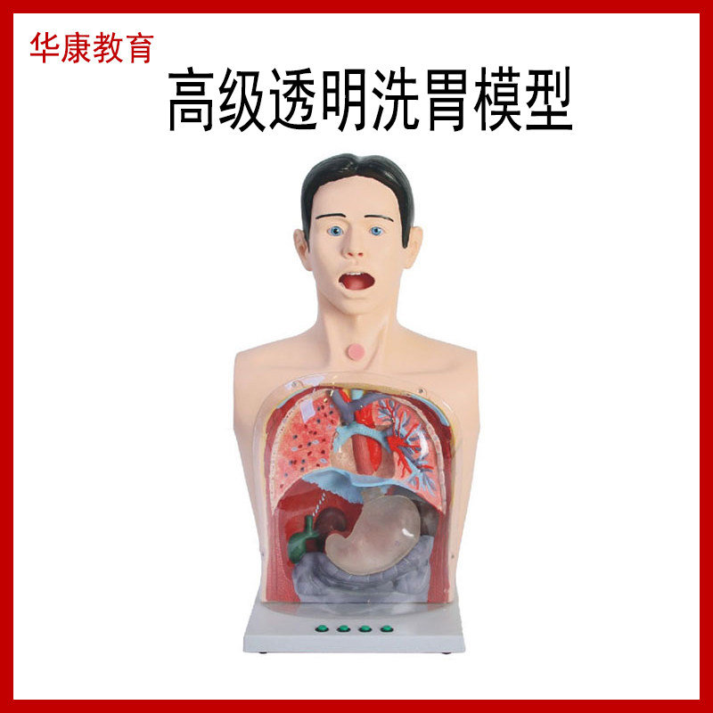 H7-1高级透明洗胃模型模拟人体洗胃术胃肠减压鼻伺带灯光警示系统