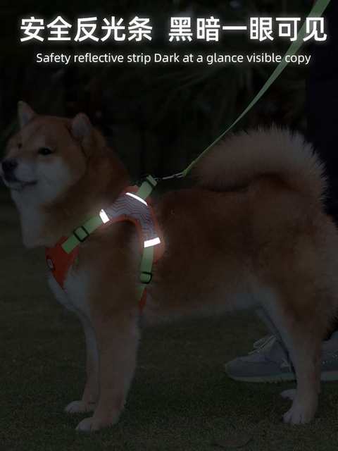 Shiba Inu Dog Leash Harness Medium Dog Vest Style Dog Walking Rope Corgi Bean Shiba Pet Supplies Dog Chain