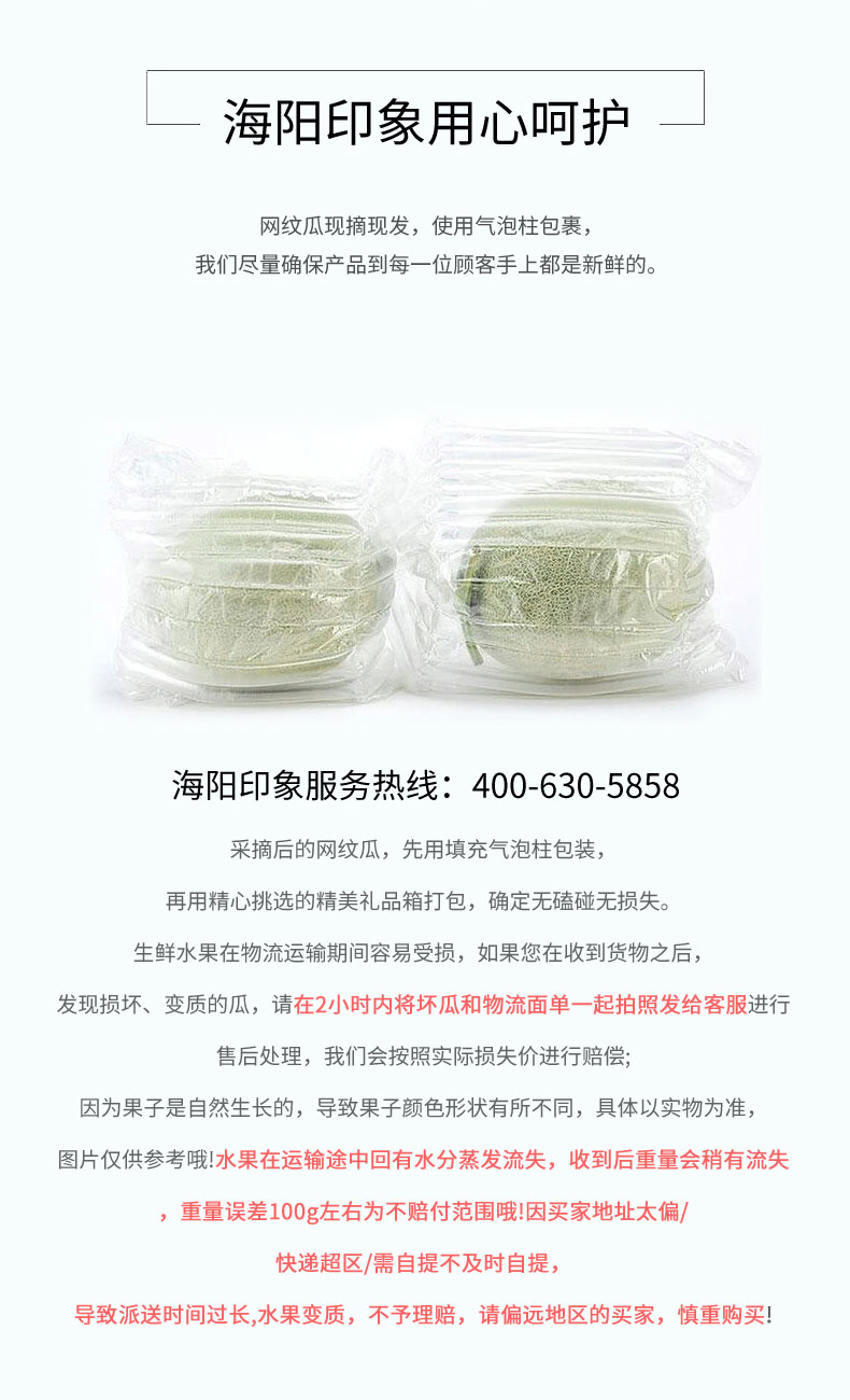 山东海阳网纹蜜瓜 2粒/2250g 图6
