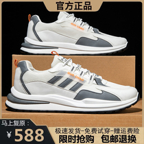 Brand Sale｜Breaking Code Clearance｜Ten Billion Subsidy Pet Shoes-3